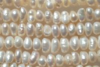 FWP 16inch Strand of 7mm Off-white Pearls